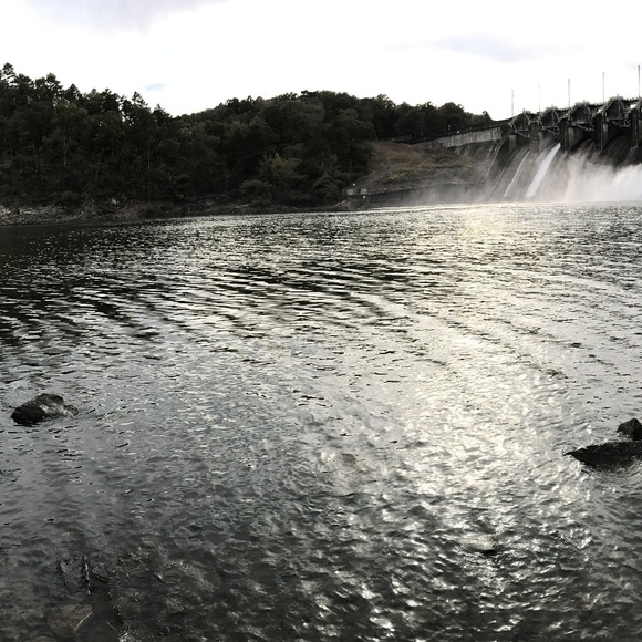 Meet your Posher, Riley - Picture 2 of 2